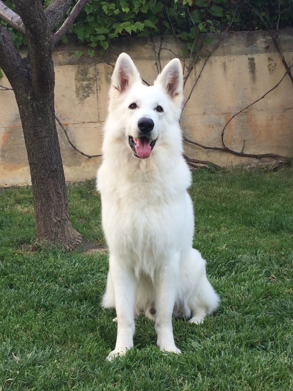 fe1f4614-d935-4c5a-89a1-c50f02f60aa9