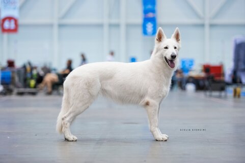 d3841a4a-3ad7-4750-9b59-be6302c2d28e