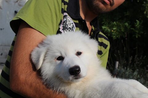 9b19a681-45c7-4b83-b3e9-1e7cceab4b6b 9b19a681-45c7-4b83-b3e9-1e7cceab4b6b