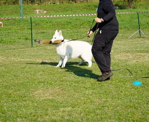 felice col salamotto felice col salamotto