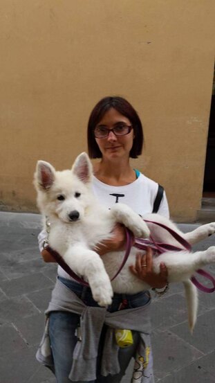 f2b4a8c8-bbb7-44d3-a8bb-d45e25fd6c88