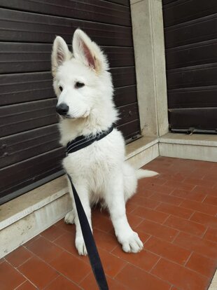 569f76c9-70b4-4e01-b5e1-9b1a1a5b4424