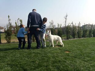 8f7c40e5-e0aa-4c12-a414-35effbbababf