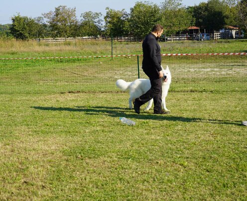 Sollecitazione improvvisa con bottiglia con sassi Sollecitazione improvvisa con bottiglia con sassi