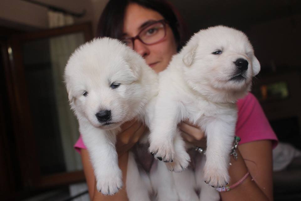 b77ed524-d938-494f-8c06-06a2fcdc0ce4