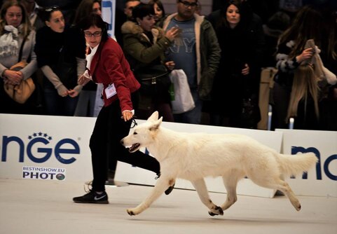 d2254aa3-7b7b-4b84-a557-26a3a16290bf