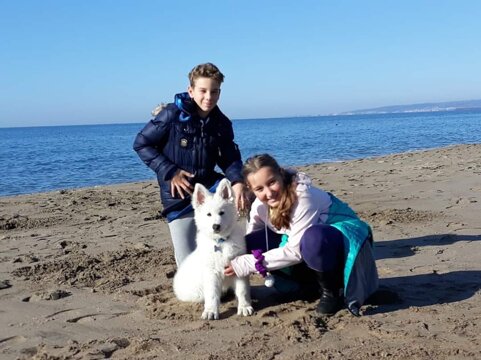 5f793b5b-eadc-4039-bd34-8ffd14ebb559