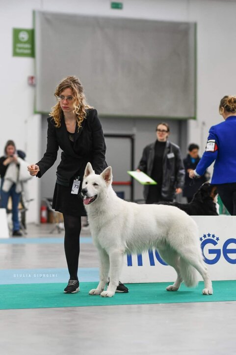 0009054f-28bd-4881-a731-04ac962f0251