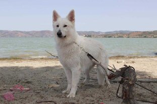 569aa26f-02b7-4f0f-bef6-b4d2b5f2d2e4