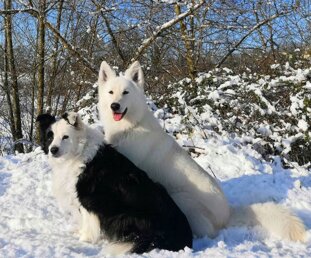 92a26195-7d4a-4691-9355-51ec830b12d8