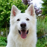 6f2e420b-a3c6-4ed8-adeb-fc0c5317a895