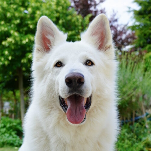 6f2e420b-a3c6-4ed8-adeb-fc0c5317a895