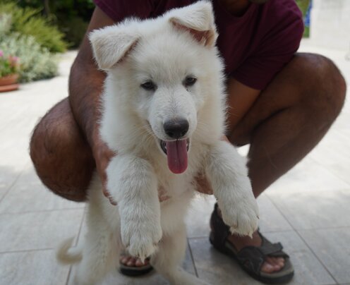 8aecea55-3291-4857-ae45-925401a5b273