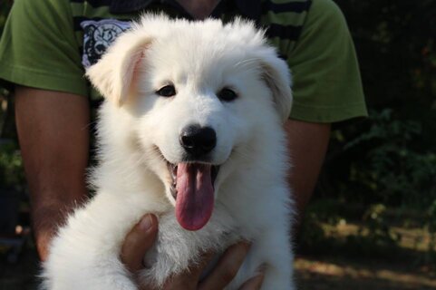 1f5489b0-a401-409b-929c-6bea2755b856 1f5489b0-a401-409b-929c-6bea2755b856