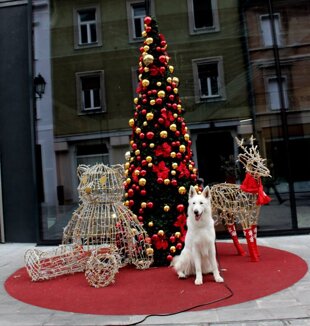 697ee361-d99a-4fa9-9ba2-df9d39e0c0fa