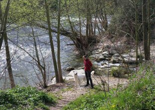 e6daafa4-57c6-4554-847d-0259dd577a75