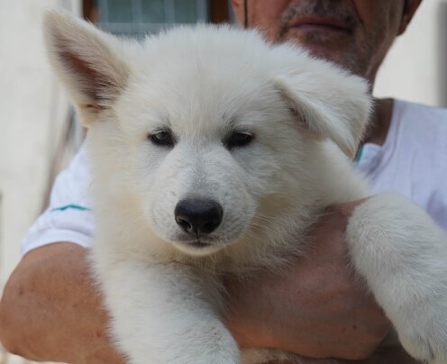 59c2f291-a292-4be3-9a85-822471061df7