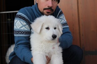 8a32b025-eabd-4e3d-b972-00bb3651f194