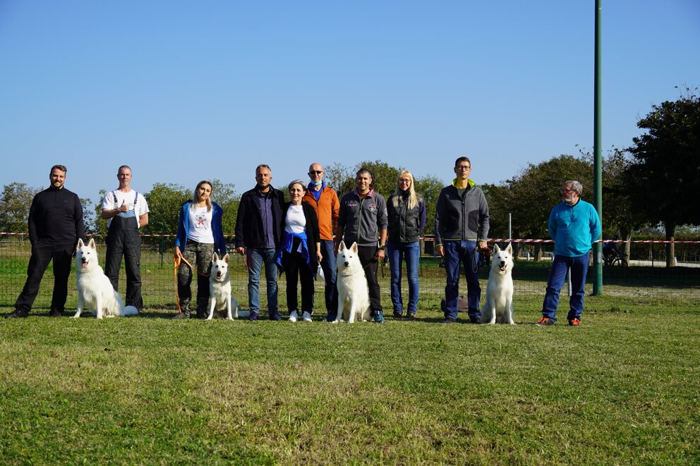 f0955f73-bea6-4937-8f0d-e709bf1c794b