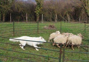 fb82e668-d15b-4f9a-96a8-54db9a89f2e7 fb82e668-d15b-4f9a-96a8-54db9a89f2e7