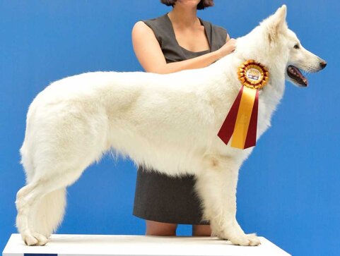 4d076f88-b61c-4a88-b2fd-2bc370157599