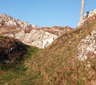 782a3db2-234f-475c-9f27-1e5864e62221