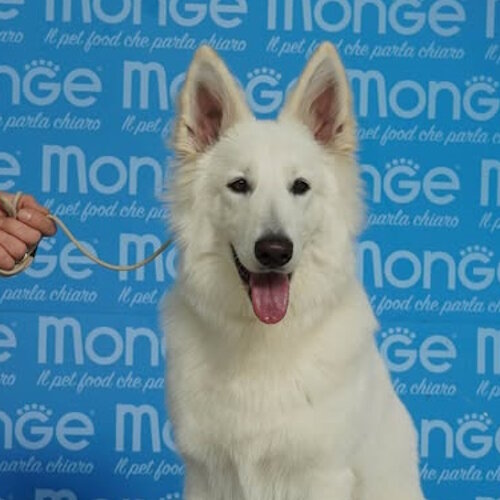 89b982d8-3403-4259-ac29-5069d5b8cbc5