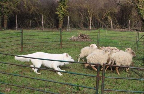 3d947590-c896-474d-ab0f-05e3f21697de