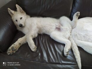 90021a04-6d49-467c-b1ad-9c070501547b