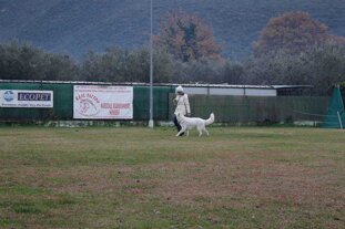 b8e774da-d245-4784-a16d-42facb0b21aa b8e774da-d245-4784-a16d-42facb0b21aa