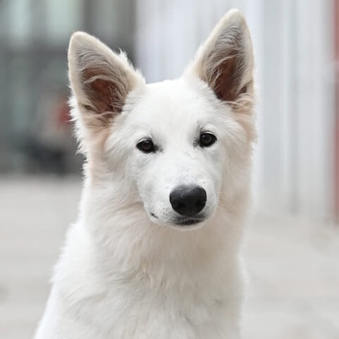 02955e91-b8d2-445b-bb5c-d5b4c9af5074 02955e91-b8d2-445b-bb5c-d5b4c9af5074