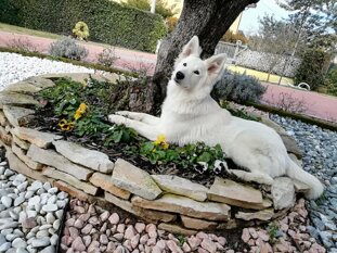 b2f2237b-e6f2-466f-85fe-23c83ede1f89