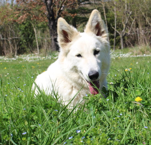 5f08157f-a807-4d7d-9a19-4bf70649148f