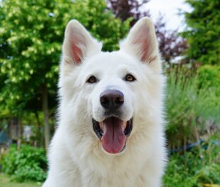 e6e66b48-5e32-4376-b141-543dbedf8c61