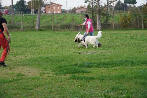 a62f2a73-25bb-4a4e-853d-4b48410685da a62f2a73-25bb-4a4e-853d-4b48410685da