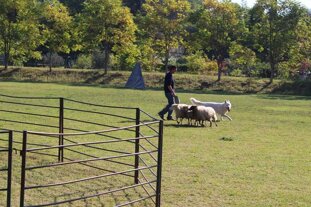 b1f4a733-53a2-46a8-badc-910b8639e1cf b1f4a733-53a2-46a8-badc-910b8639e1cf