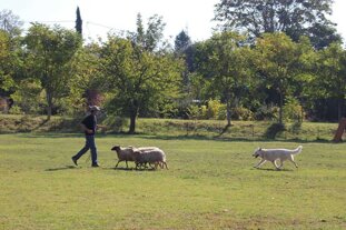 d87304e3-8dbf-4196-9f3a-b5fdd5945bf2 d87304e3-8dbf-4196-9f3a-b5fdd5945bf2