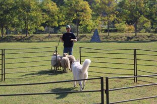 6da4f3bc-cce0-4a9f-a144-94989fb630cd 6da4f3bc-cce0-4a9f-a144-94989fb630cd