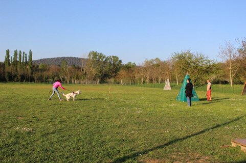 101c432c-7a05-4368-a5d4-5aa43f36bd9b