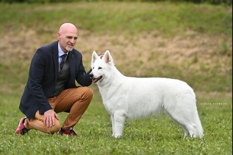 8d8e4942-e734-494a-922d-05561ec8e4df