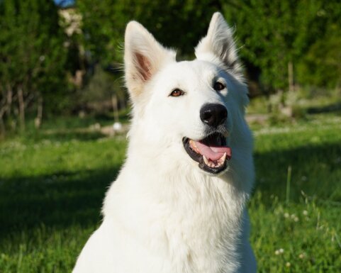 07ac77c8-ef34-4e1d-9379-e542331a19ae