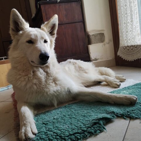 4e0d15dd-4b27-4870-b60d-bdb9a18fef3b