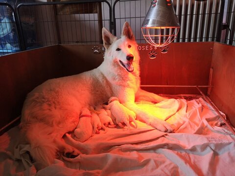 b7e439c4-567f-4e1b-84f3-44a5050363f2