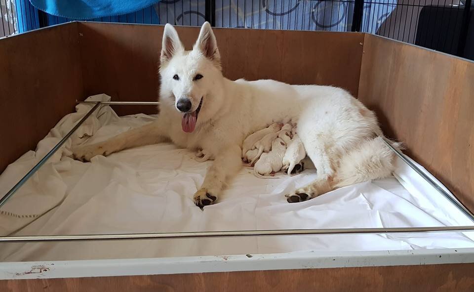 38737d91-8c30-4111-800b-b633d3c93530