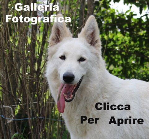 cb871e51-3e72-42f3-9f44-c70e574ff336