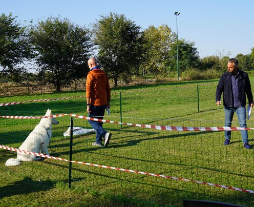 Contatto con estraneo in assenza del conduttore Contatto con estraneo in assenza del conduttore