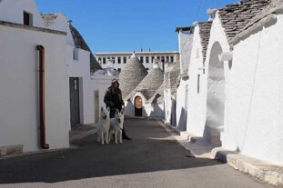 6e18f732-628e-45dc-aec6-079be5ec13cc