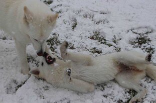 3e475b87-c7ab-48cb-a13e-88c33b0d1769