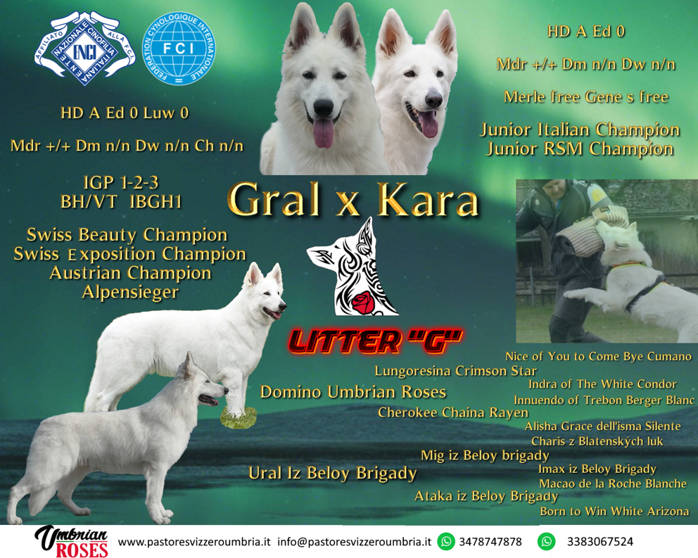 b52002d1-93e2-45cb-9e8d-130156cb185e