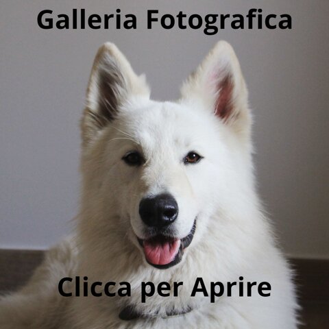 3d8c6600-572b-49d3-962f-43688500839b